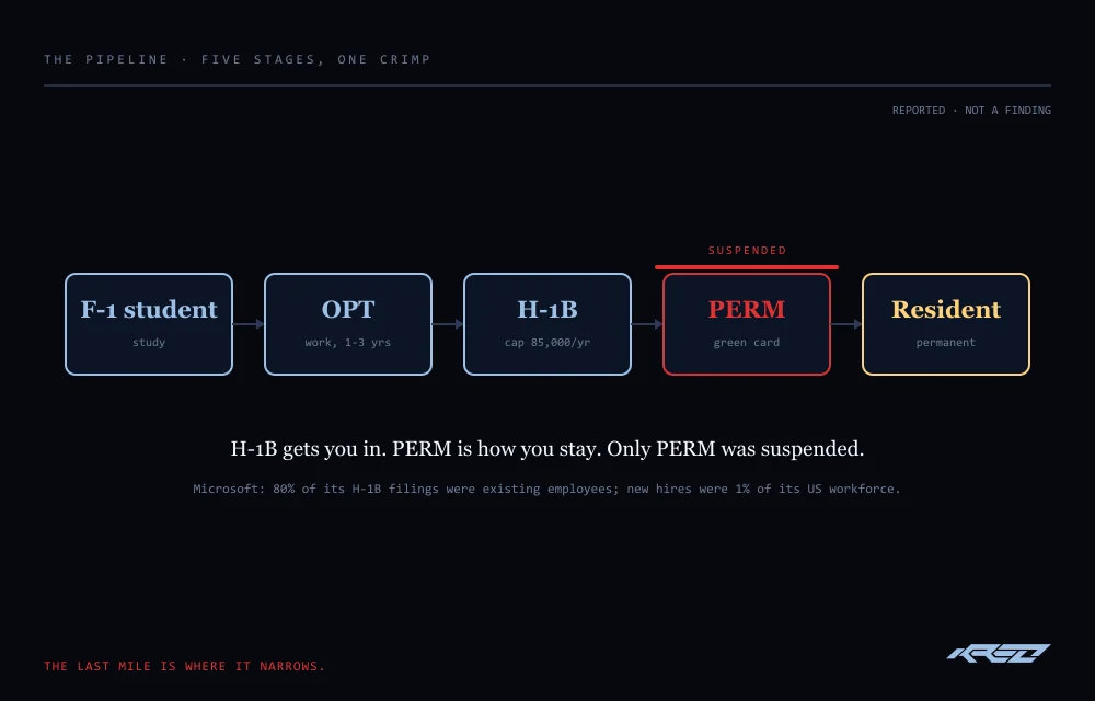 A labelled diagram of the visa pipeline in five stages: F-1 student, OPT, H-1B, PERM, and permanent resident. PERM is ringed in red and stamped SUSPENDED.